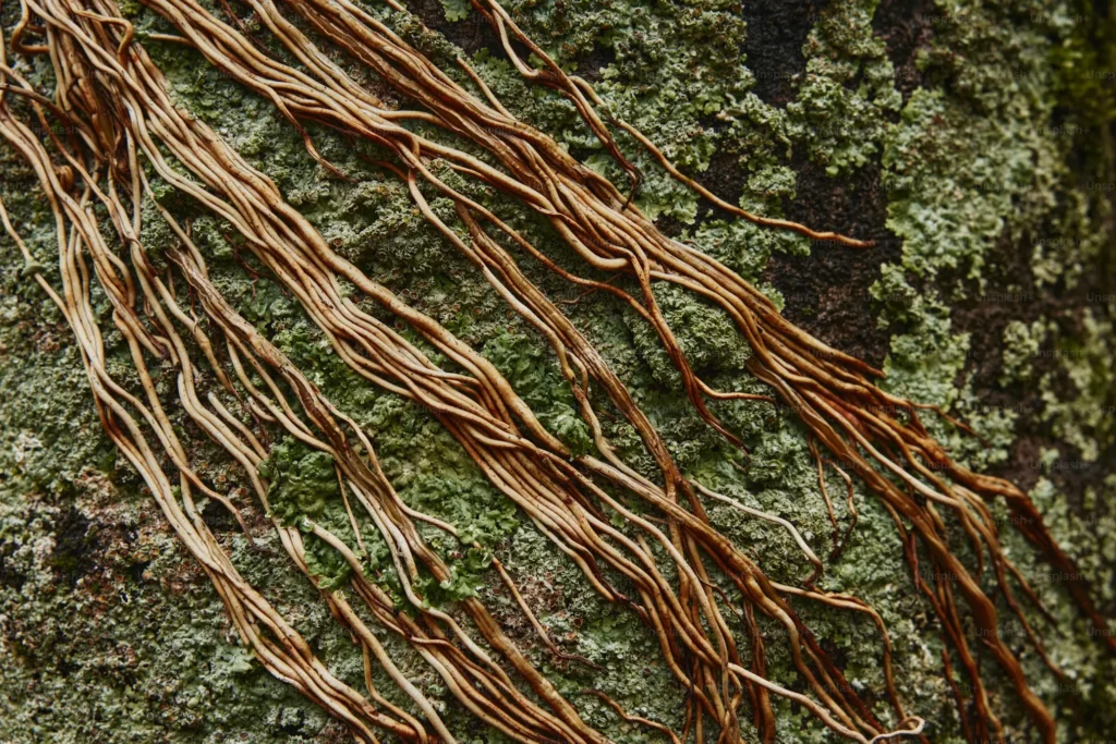 tinned copper wire used in harsh environment